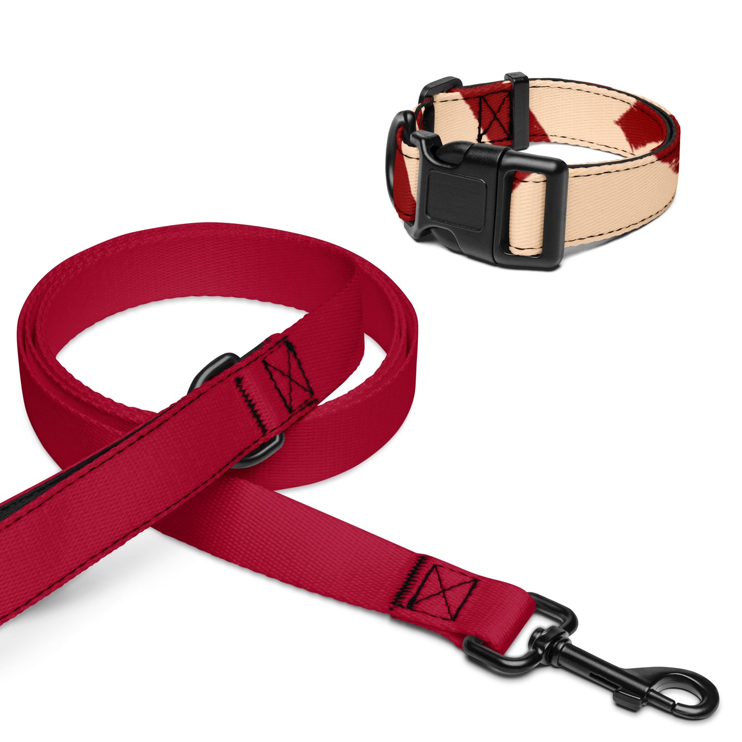 TUTU Pet Collar and Leash Set