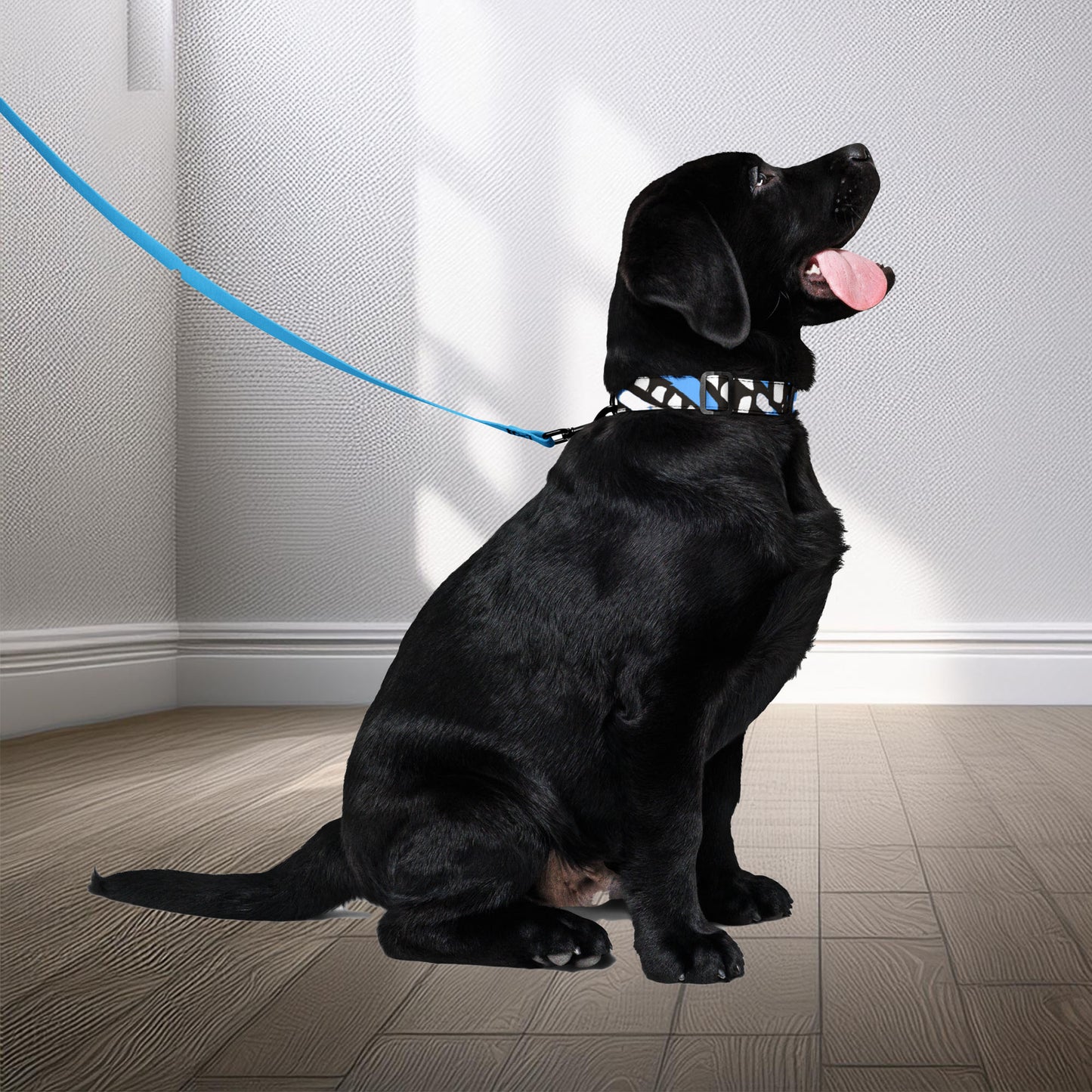 Sophisticated blue Ilorin pet collar and leash set by Tintin Studios, adorned by a Labrador Retriever. The deep blue pattern exudes elegance, making it ideal for pets with a refined sense of style.