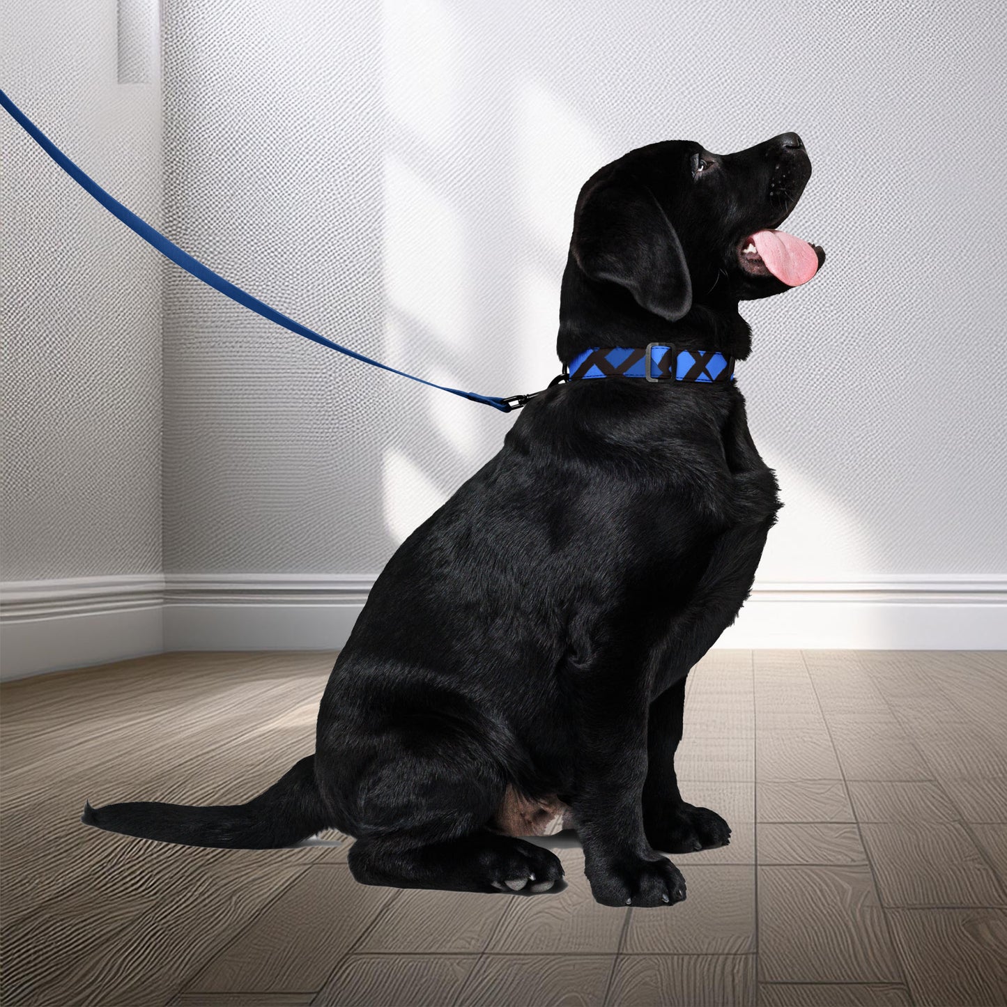 Elegant Lagos pet collar and leash set in blue, featuring a unique geometric pattern by Tintin Studios. This set accentuates the sophisticated style of a well-groomed dog, ideal for stylish outings and urban adventures.