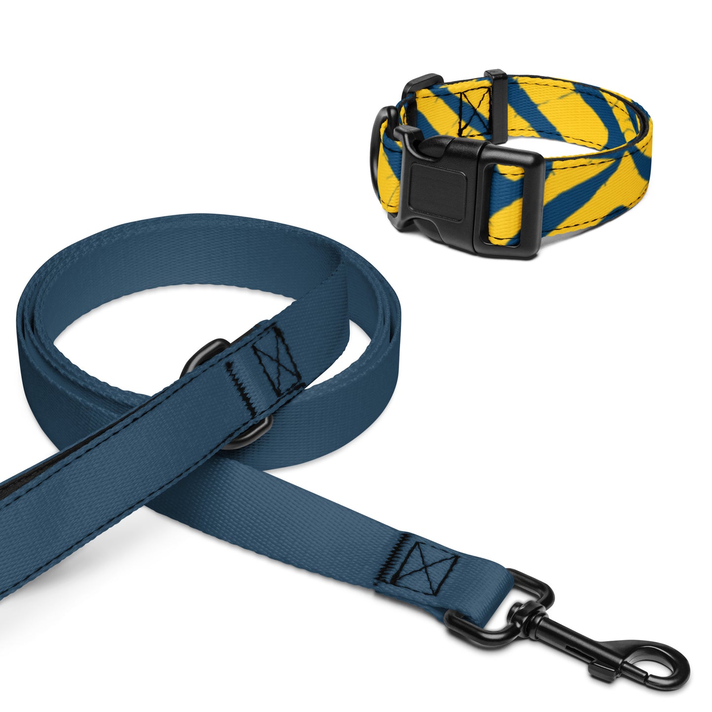 CHICHI Pet Collar and Leash Set