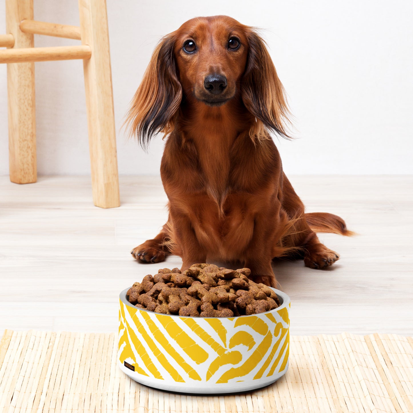 A poised long-haired dachshund is seen next to a yellow Chichi pet bowl from Tintin Studios, full of dog food. The bright and bold colors of the bowl highlight the refined features of the dachshund, blending style with functionality.