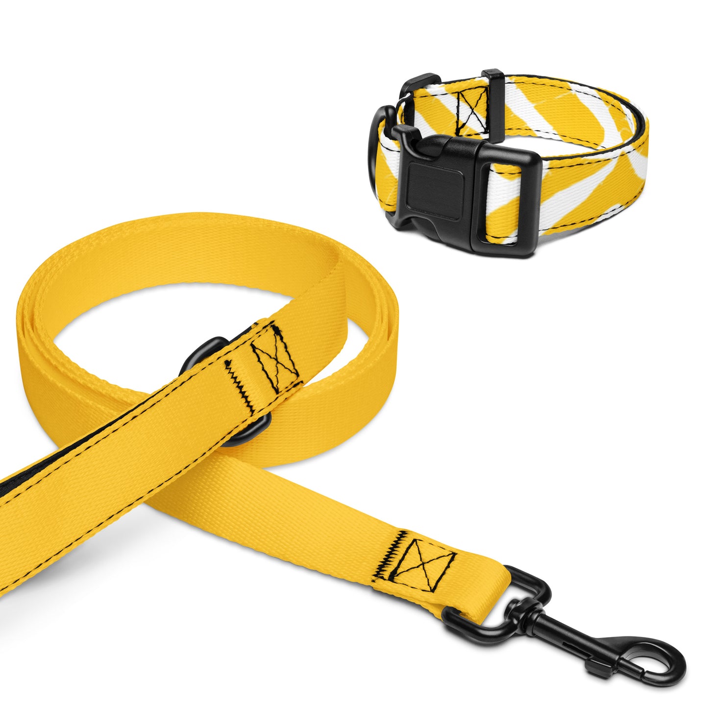 CHICHI Pet Collar and Leash Set