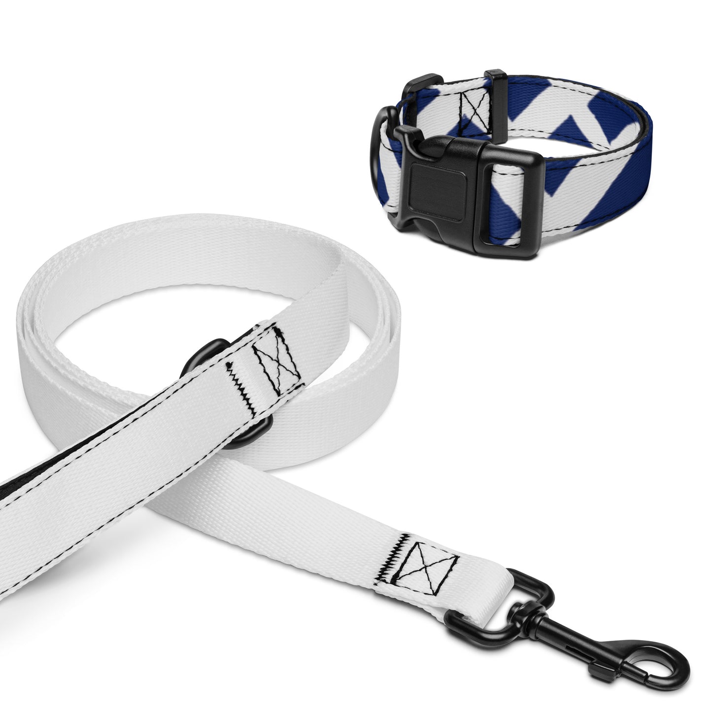 FELELE Pet Collar and Leash Set