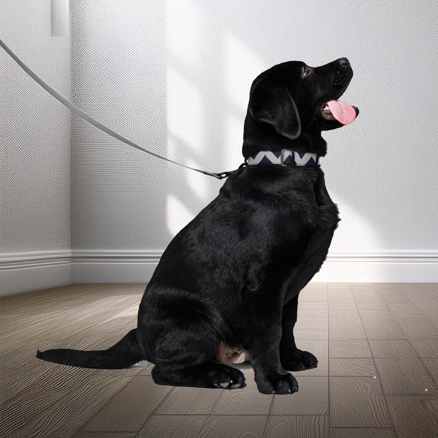 A Labrador Retriever puppy sits eagerly, adorned with a stylish blue and white geometric-patterned Zaria collar and leash from Tintin Studios. The background is minimalist, highlighting the vibrant blue tones of the accessory.