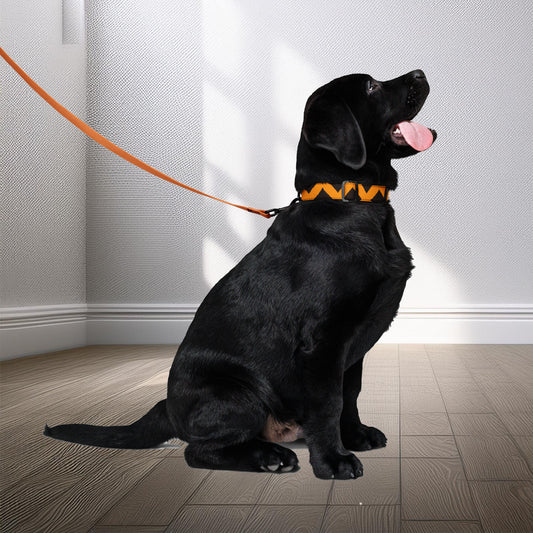 A cheerful Labrador Retriever puppy wears an orange and white geometric-patterned Zaria collar and leash by Tintin Studios. The sharp contrast of the orange against a plain background emphasizes the unique design and color scheme.