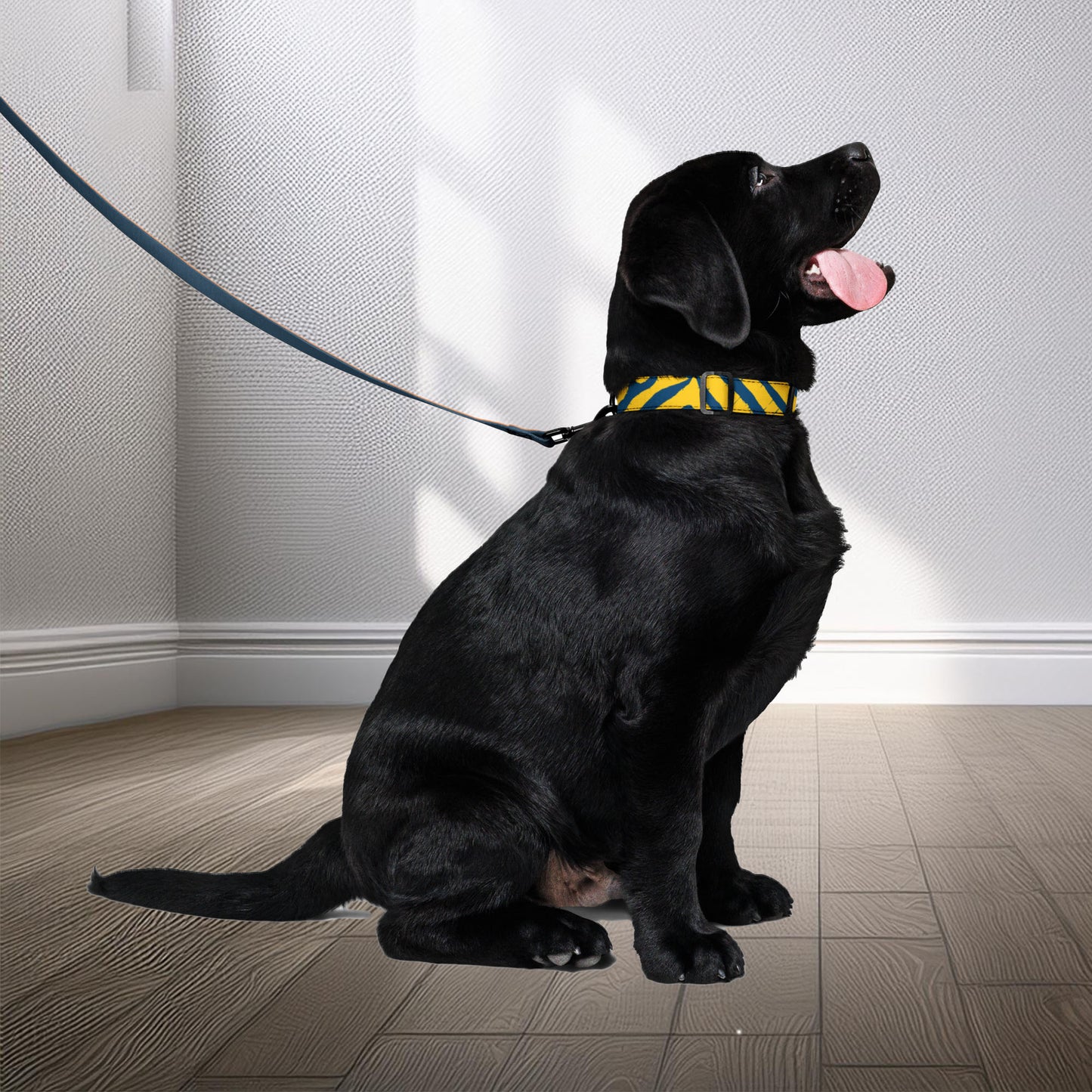 An elegant ChiChi pet collar and leash set in blue with intricate yellow patterns, displayed on a happy black Labrador Retriever. The Tintin Studios logo subtly enhances the sophisticated design, suitable for stylish pets.